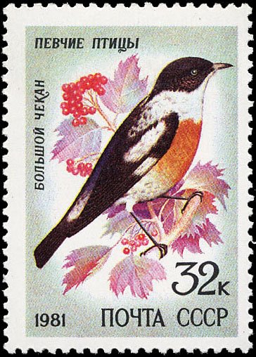 Большой чекан - почтовая марка СССР 1981г.